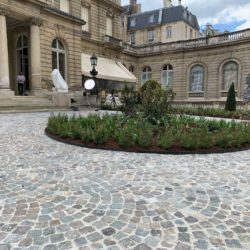 [3263] - cour pavée recouverte de pavés de grès ancien - Paris